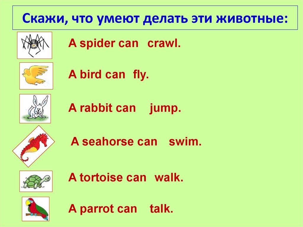 Crawl spider fly bird jump rabbit swim. Что не умеют делать животные на английском. Что умеют делать животные. Что умеют животные на английском. Напиши что умеют делать животные английский.