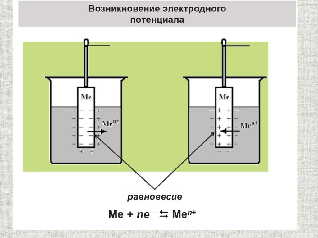 Электродный потенциал. Электродные потенциалы и механизм их возникновения. Как измеряют электродный потенциал. Возникновение электродного потенциала. Электродное равновесие.