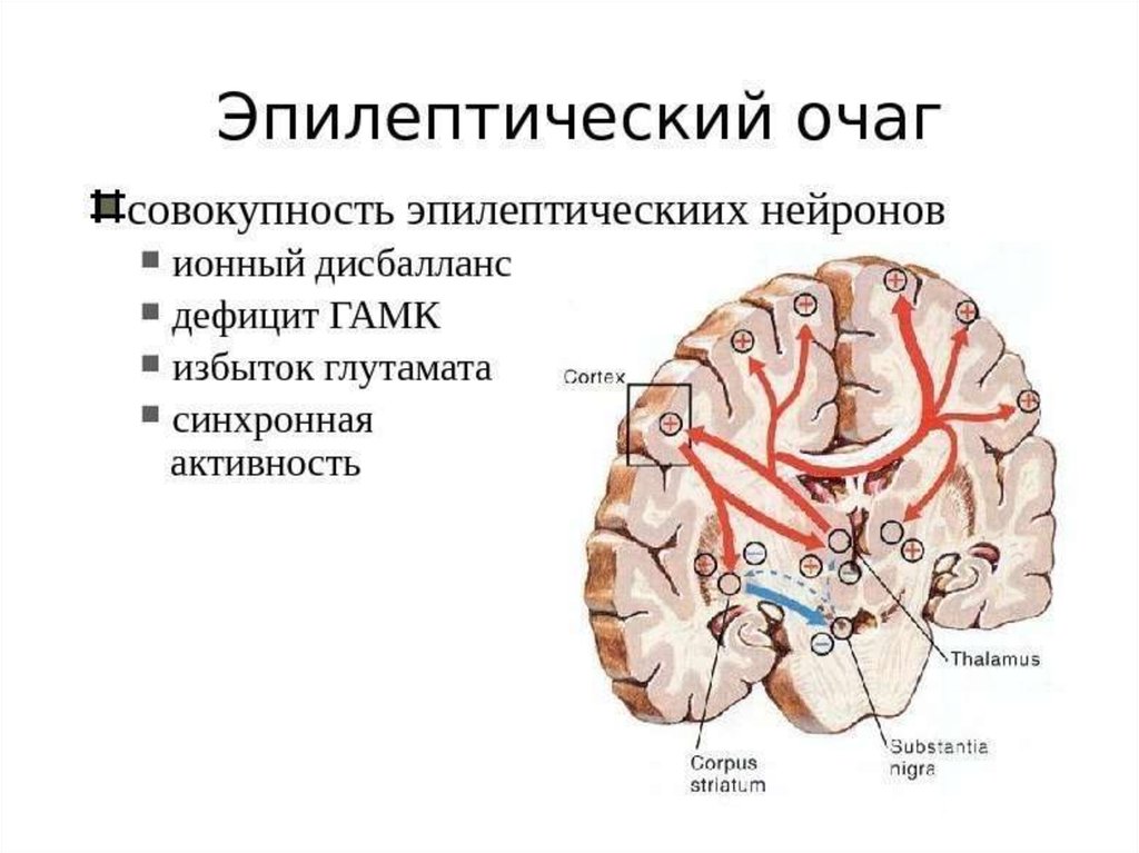 Эпилепсия локальный статус карта вызова