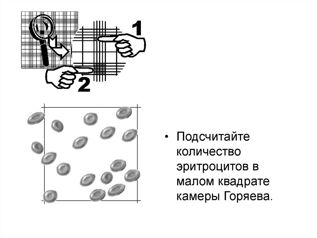 Рисунок камера горяева