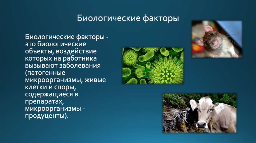 Воздействие биологических производственных факторов. Биологические вредные факторы. Биологические факторы опасности. Биологические вредные производственные факторы. Биологические опасные факторы.