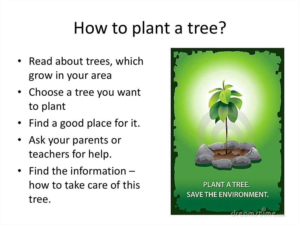 Those trees. How to Plant. Как правильно читать Tree. Plant a Tree рассказ. How to save the environment доклад.