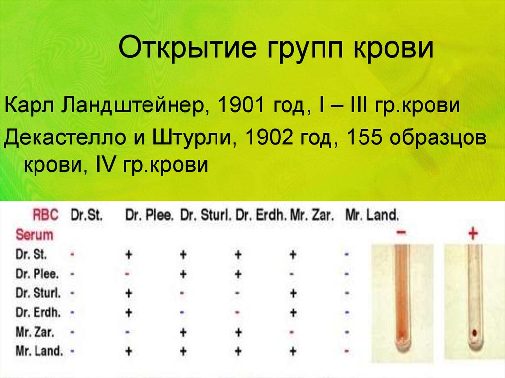 Карл ландштейнер открытие групп крови презентация