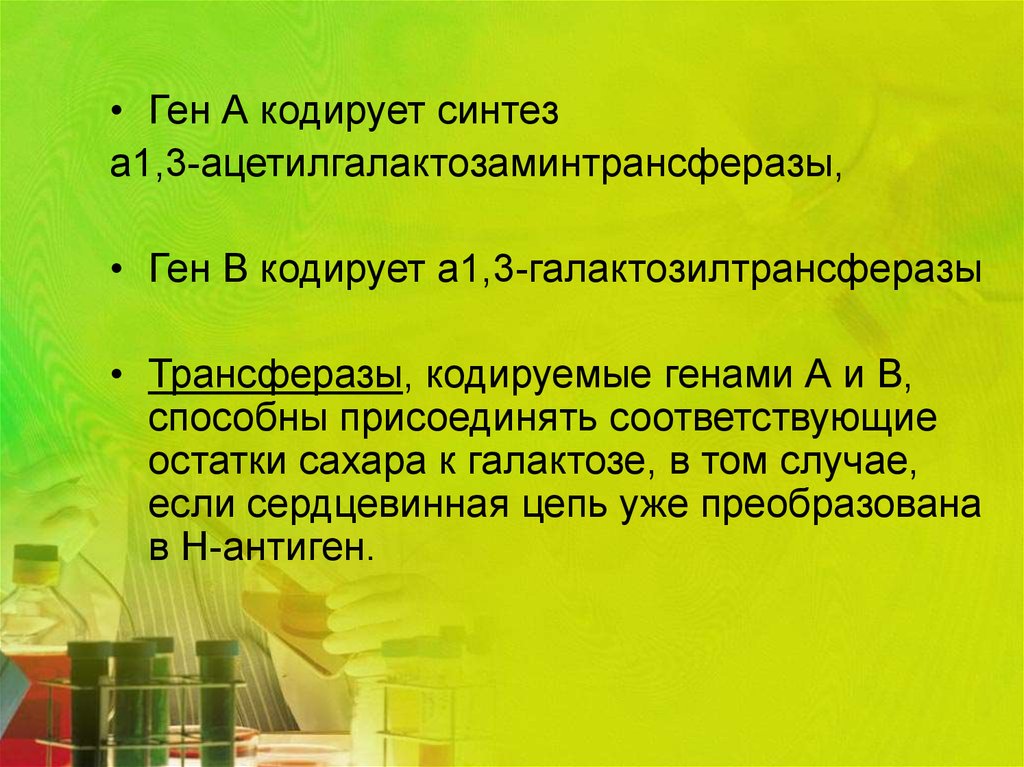 Ген кодирует синтез. Что кодирует ген. 1 Ген кодирует. Групповую принадлежность крови обуславливают. Протеин кодирующие гены.