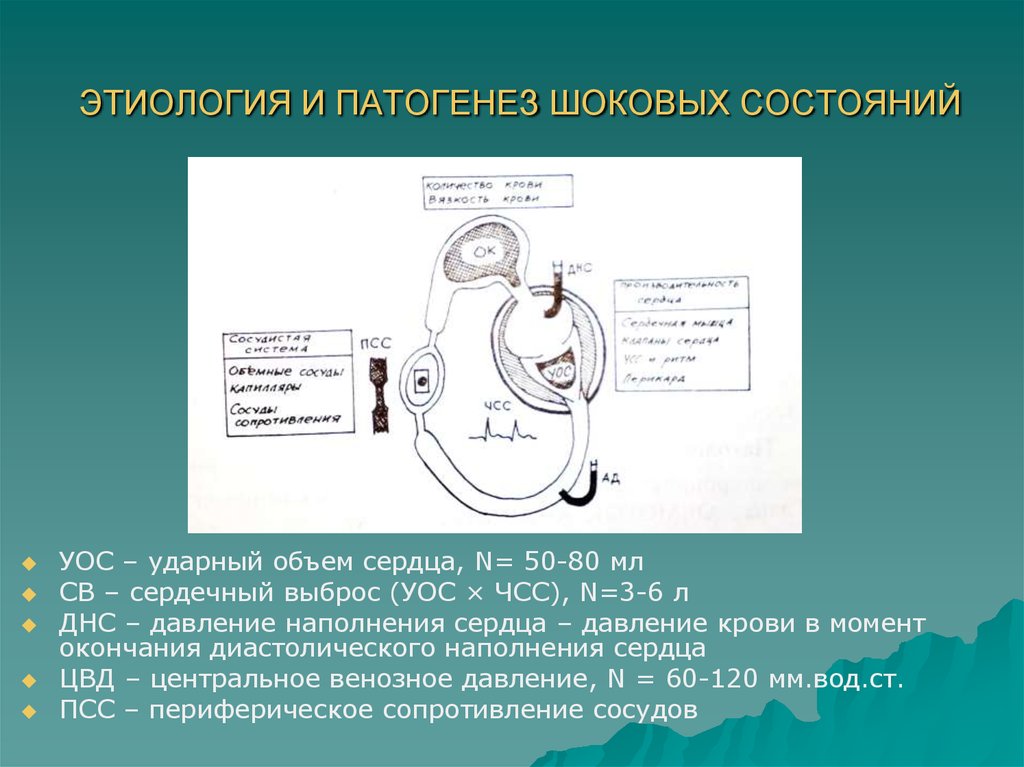 Гиповолемический шок анестезиология и реаниматология презентация