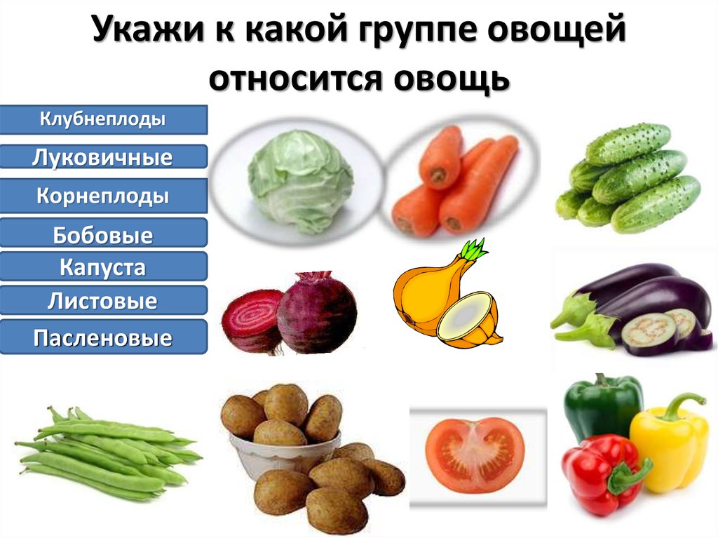 Что относится к овощным продуктам