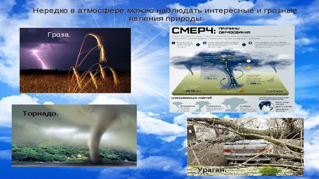 Презентация опасные программы и явления цифровой среды