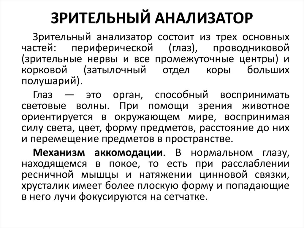 Зрительные заболевания. Нарушение зрительного анализатора. Заболевания зрительного анализатора и их профилактика