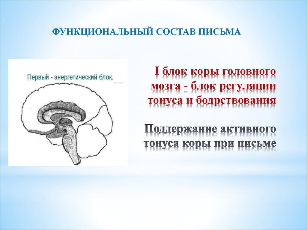 Первый блок. Первый блок - блок тонуса коры (энергетический блок). Блок регуляции тонуса. 1 Блок мозга блок регуляции тонуса и бодрствования. Функциональный состав письма.