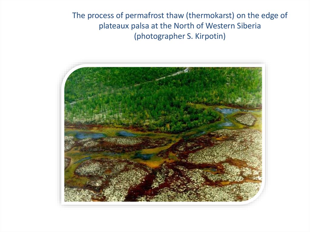 The process of permafrost thaw (thermokarst) on the edge of plateaux palsa at the North of Western Siberia (photographer S.