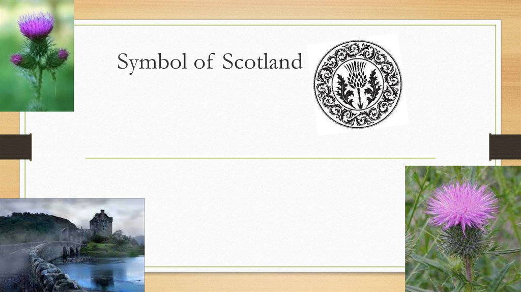 What is the symbol of scotland