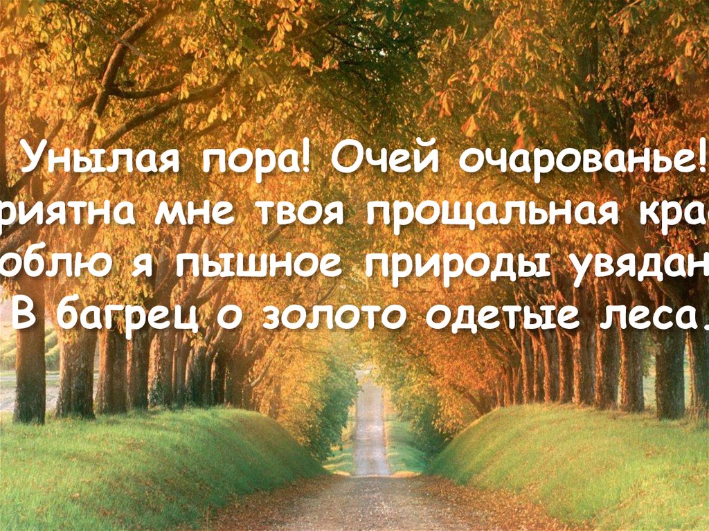 Стих унылая пора. Унылая пора очей. Унылая пора значение. Унылая пора очей главные члены предложение. Унылая пора слушать.