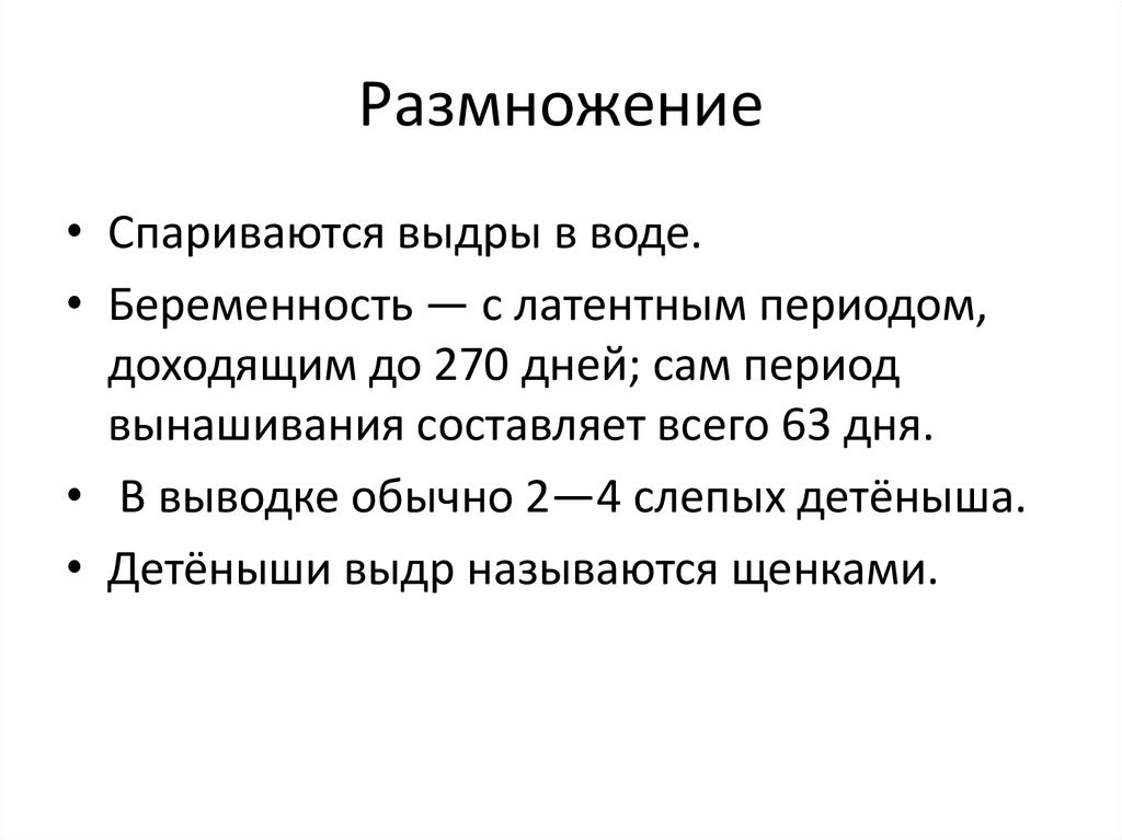 Размножение