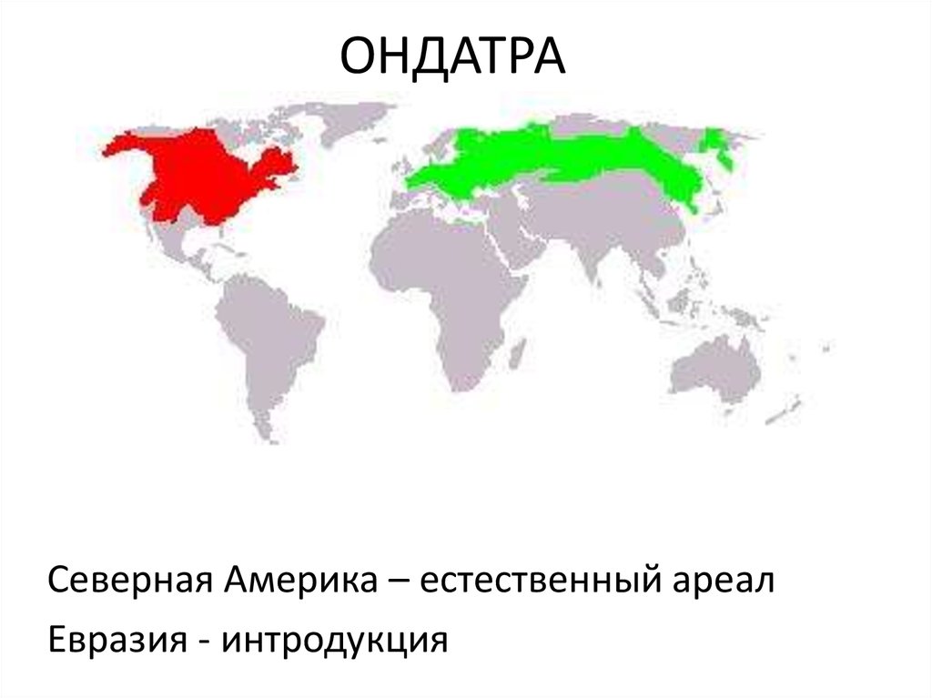ОНДАТРА