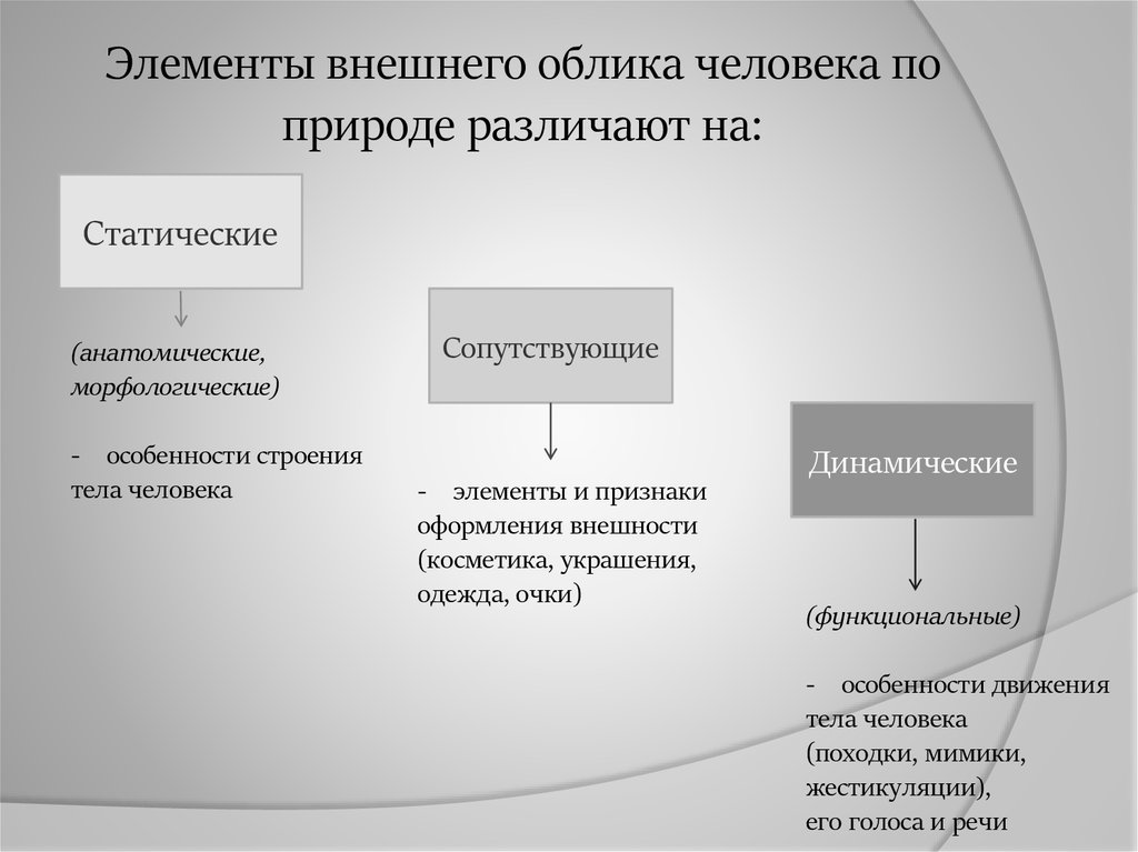 Признаки фрагмента. Элементы признаков внешности человека криминалистика. Элементы внешнего облика человека. Сопутствующие элементы внешнего облика человека. Схему классификации признаков внешности человека.