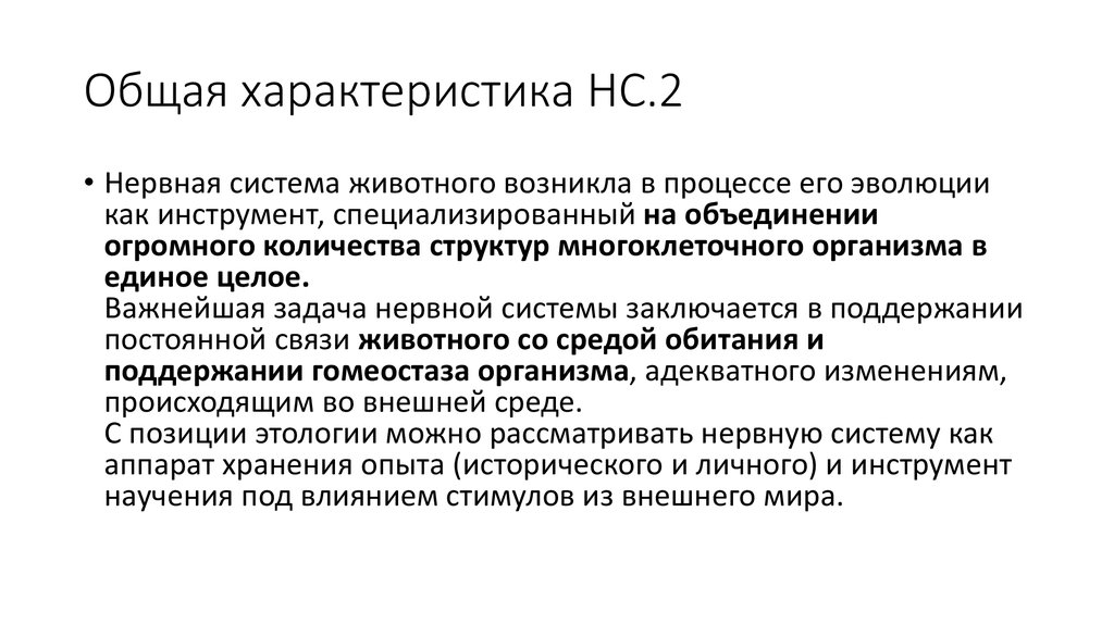 Специализированное объединение. Общая характеристика нервной системы животных. Общая характеристика НС. Общая характеристика нервной системы человека. Комплексные свойства нервной системы.