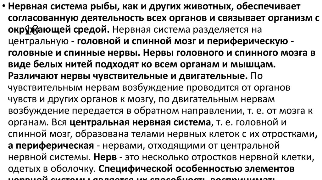 Почему органы в организме работают согласованно. Нервная система рыб.