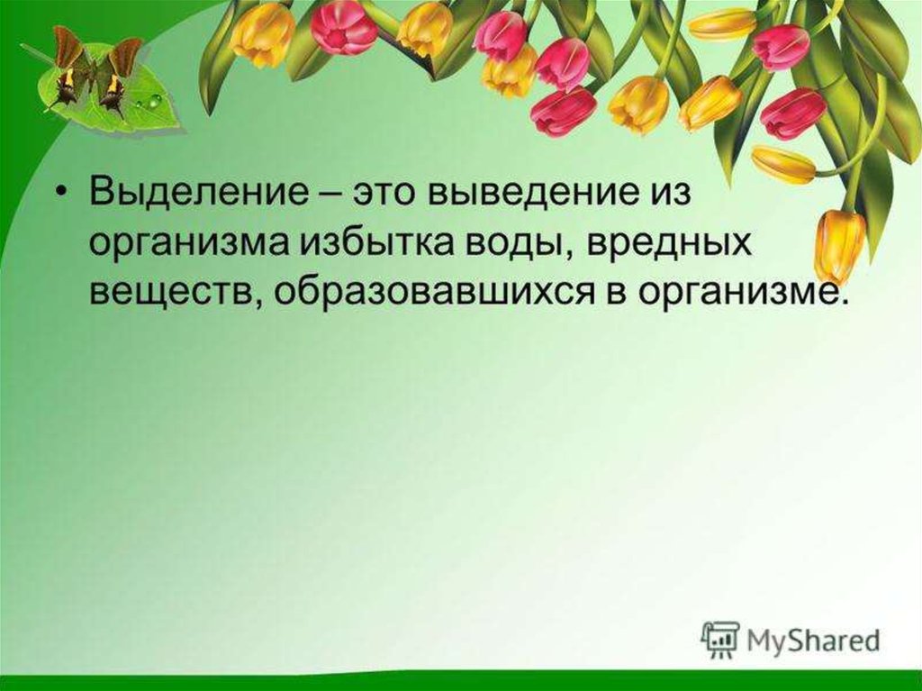 Выделение у растений. Выделение живых организмов. Процесс выделения у живых организмов. Выделение у растений 6 класс биология.