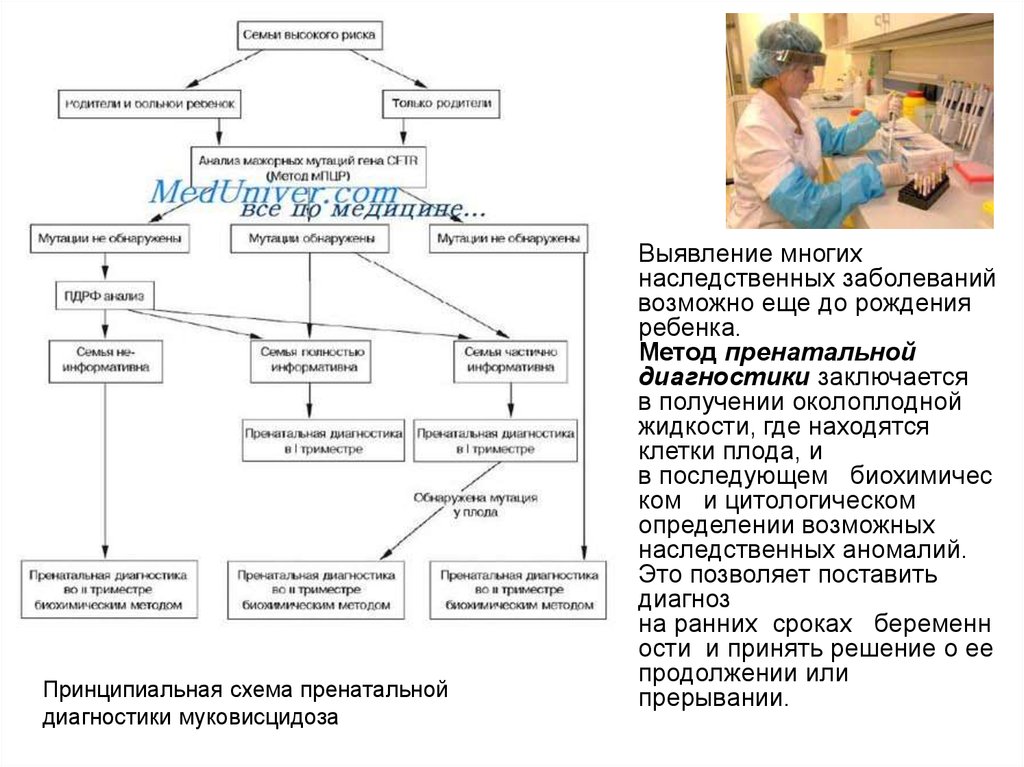 Оптимальный возраст постановки диагноза муковисцидоз. Методы пренатальной диагностики схема. Схема диагностики наследственных заболеваний. Схема пренатальной диагностики наследственных болезней. Биохимические методы диагностики наследственных заболеваний.