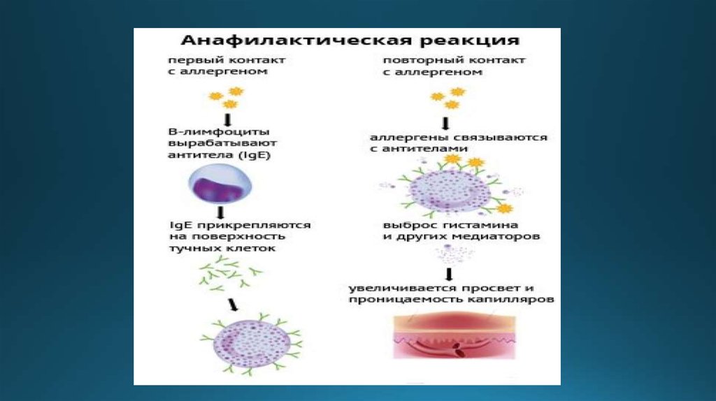 Впервые повторно