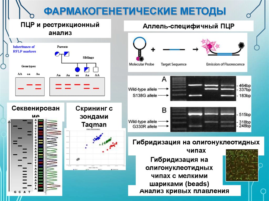 Пцр ошибка