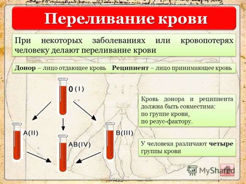 1 донор и реципиент