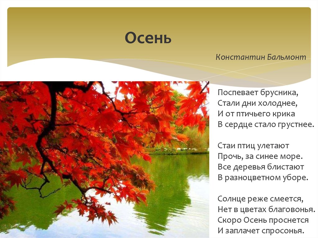 Стихотворение бальмонта осень. Константин Бальмонт осень поспевает брусника. Константин Бальмонт осень. Константин Бальмонт осень стих. Осень Бальмонт осень.