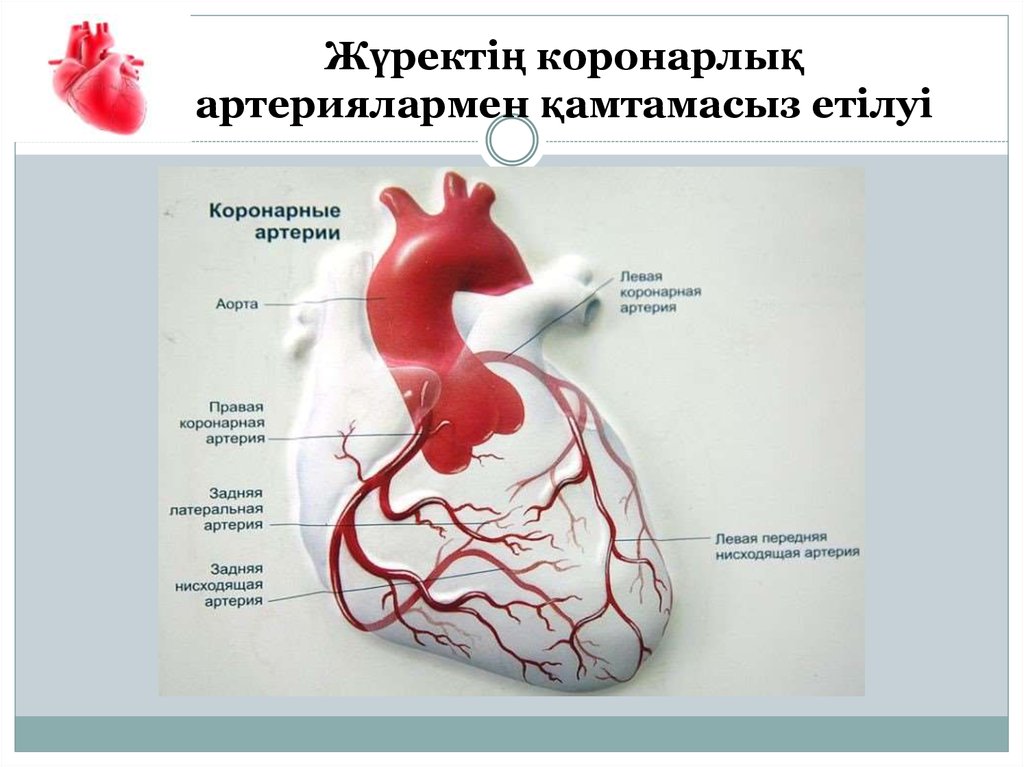 Коронарные осложнения