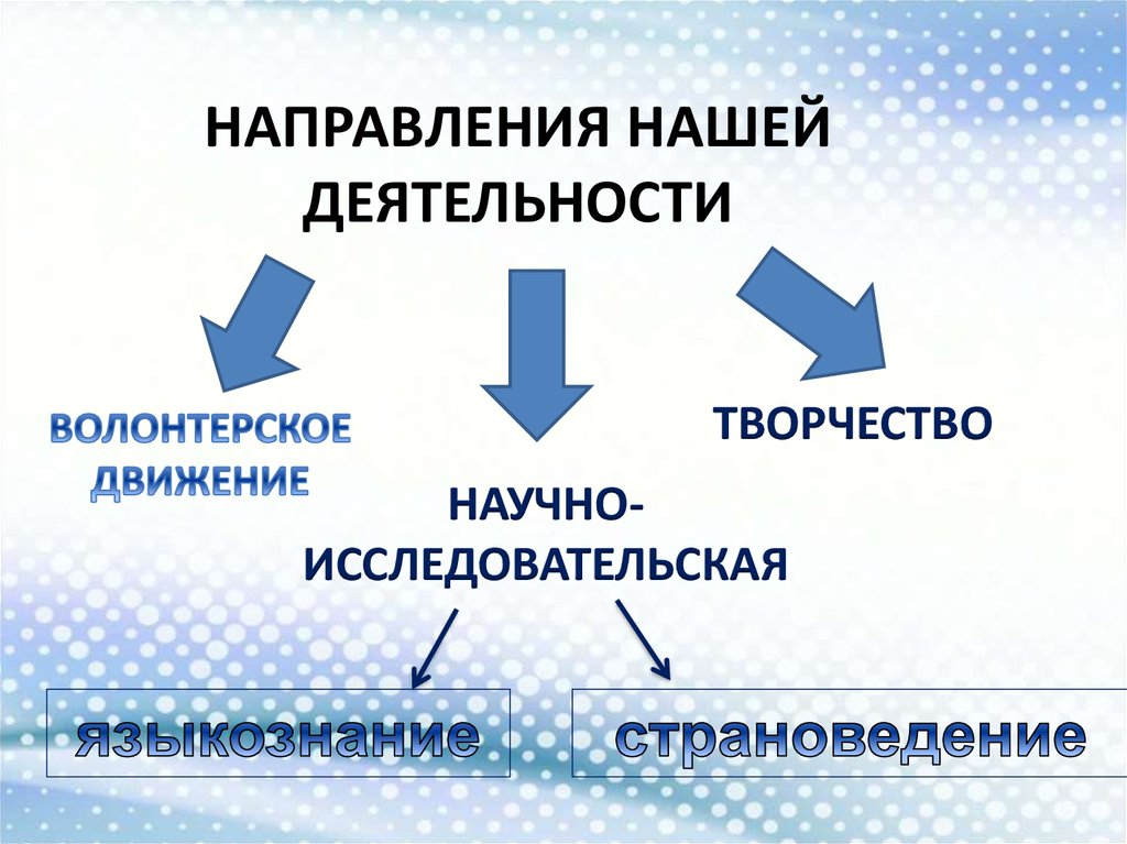НАПРАВЛЕНИЯ НАШЕЙ ДЕЯТЕЛЬНОСТИ