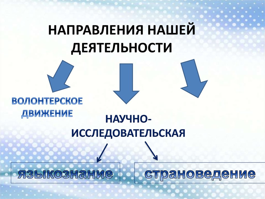 НАПРАВЛЕНИЯ НАШЕЙ ДЕЯТЕЛЬНОСТИ