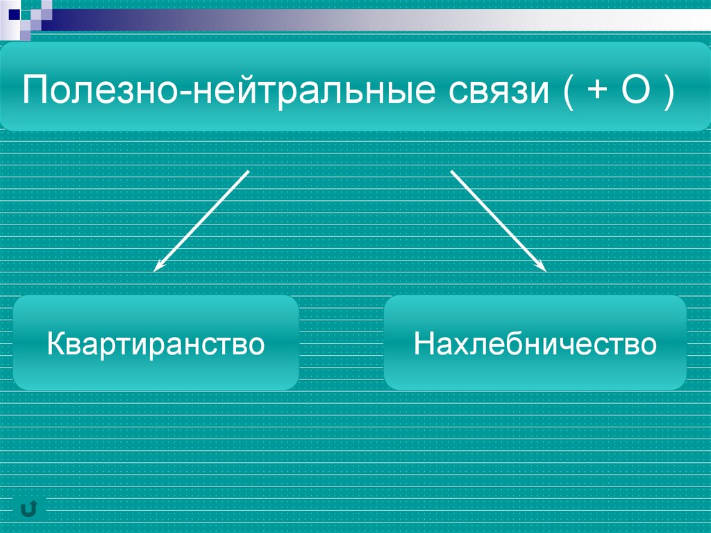 Конкуренция связь. Ызаимоврежные конкуренция. Взаимовредные связи. Антагонизм Взаимовредные связи. Взаимовредные биотические связи.