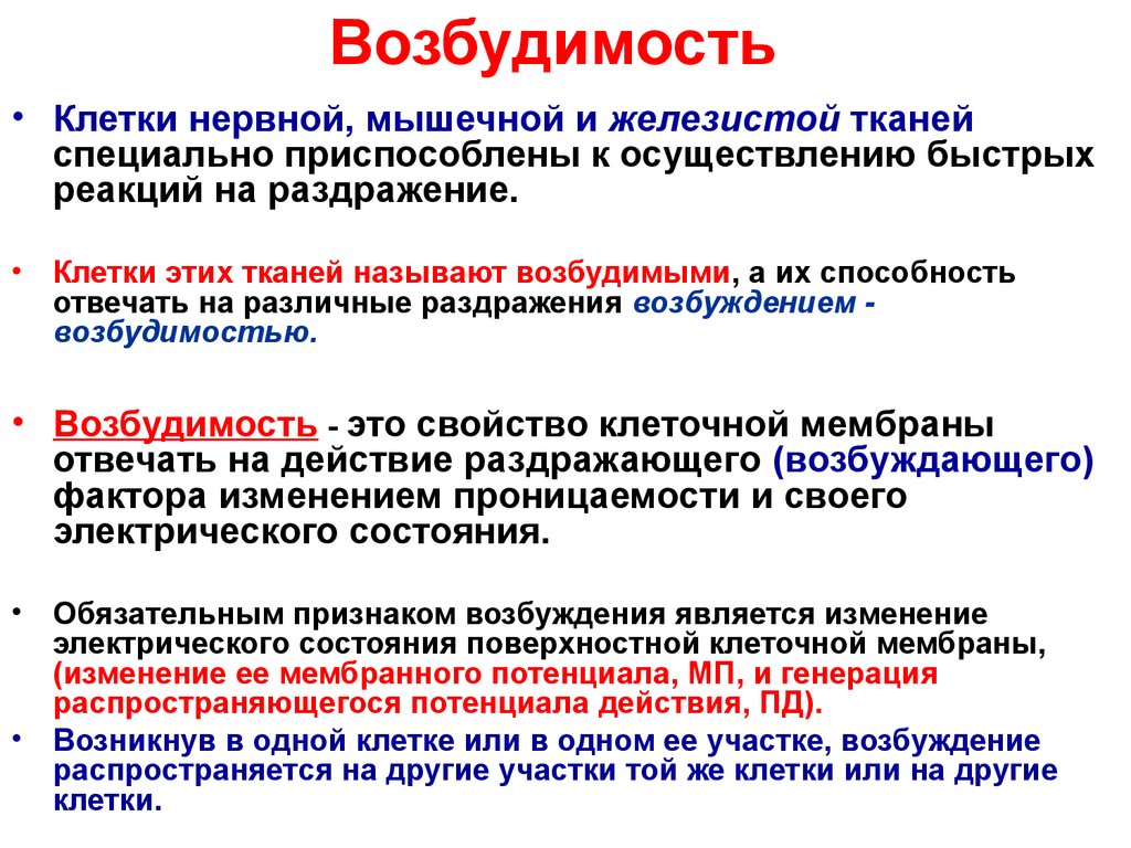 Возбудимость обладают. Основные понятия в физиологии возбудимых тканей. Возбудимость мышечной ткани. Этапы процесса возбуждения возбудимых тканей.