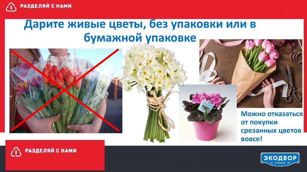 Сколько надо дарить цветов на 8. Живые цветы без бумажной упаковки. Что дарит живые цветы срезанные. Не Дарите живые цветы. Не Дарите срезанные цветы.