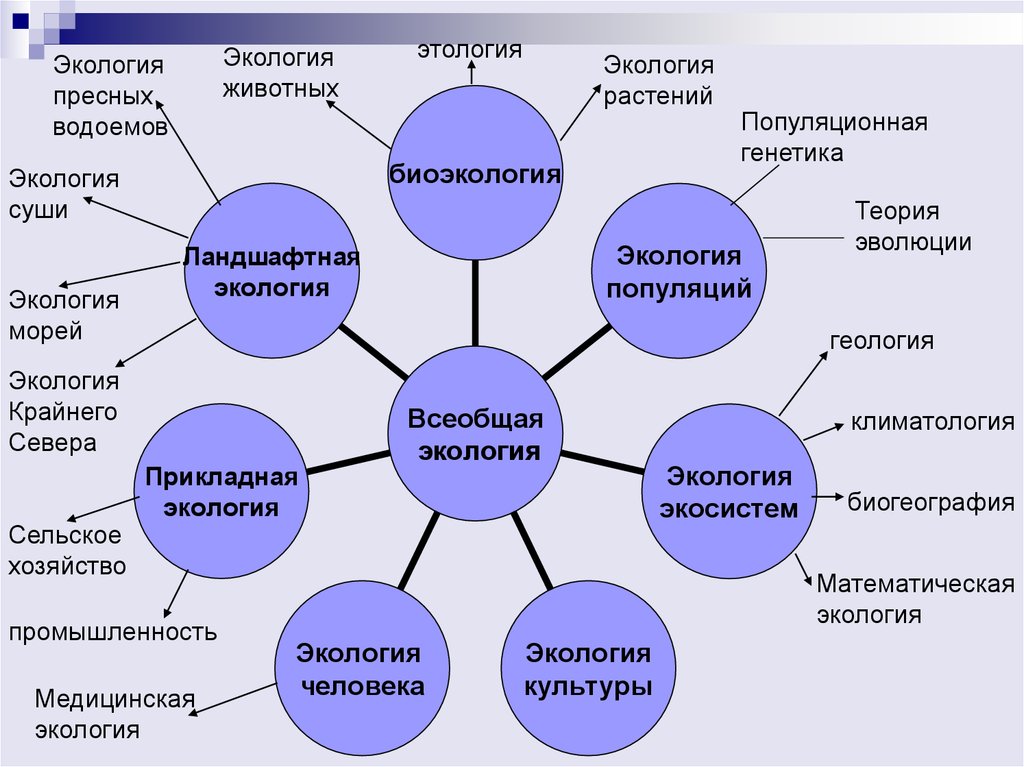 Этология. Этология с экологией. Теория по экологии. Теория человека экологического. Теории и методы исследования экологии человека.