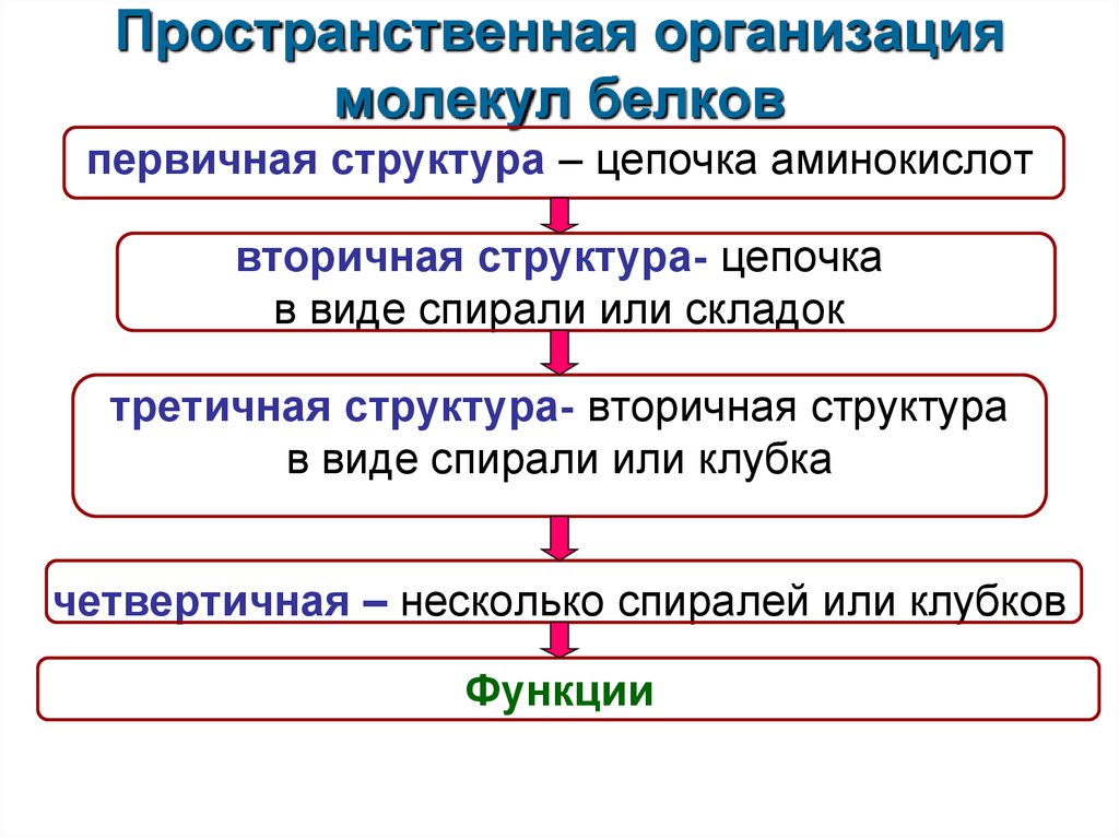 Организация молекул