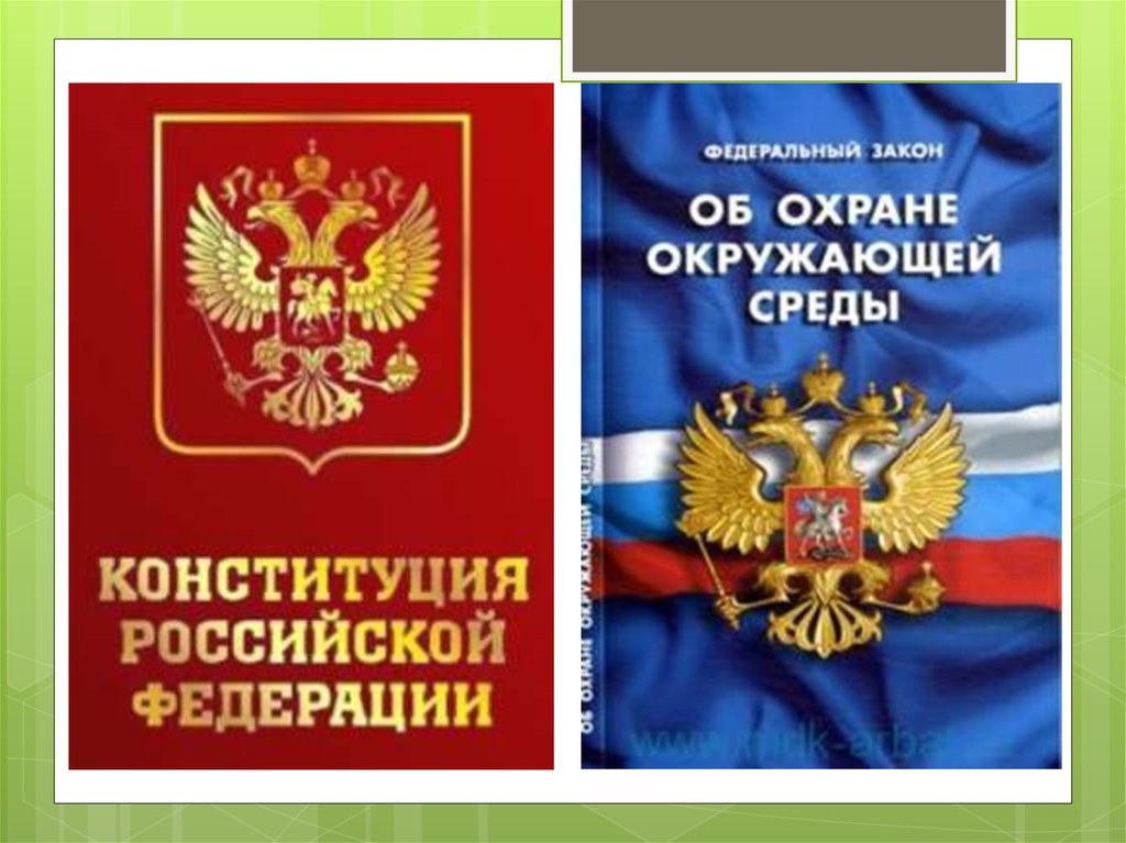 Закон на страже природы презентация 7 класс обществознание конспект