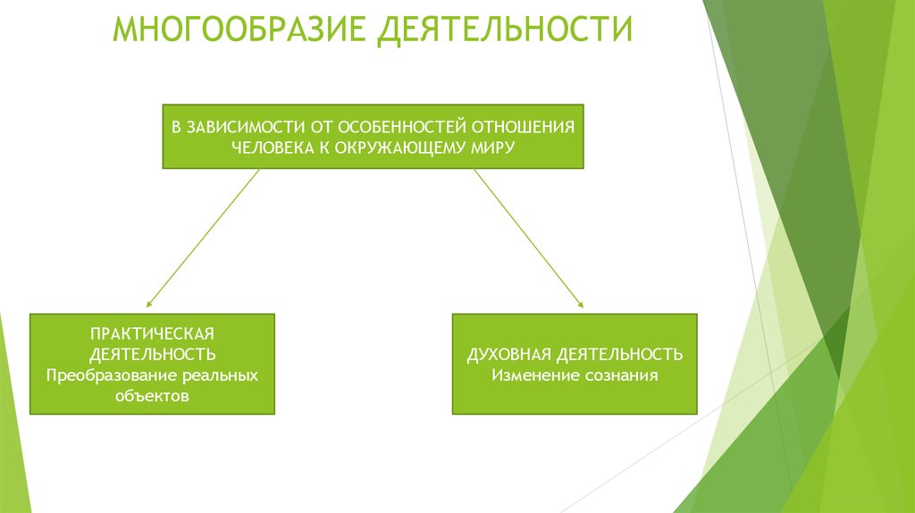 Деятельность и многообразие ее видов 6 класс