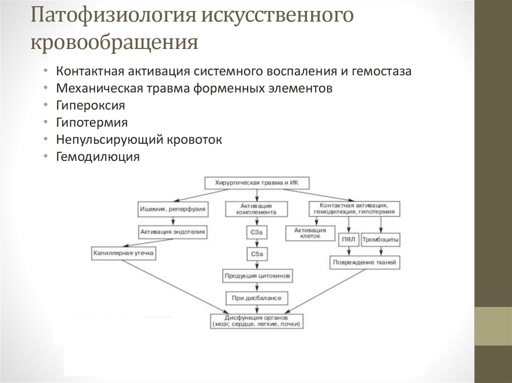 Патофизиология в схемах и таблицах 2 часть