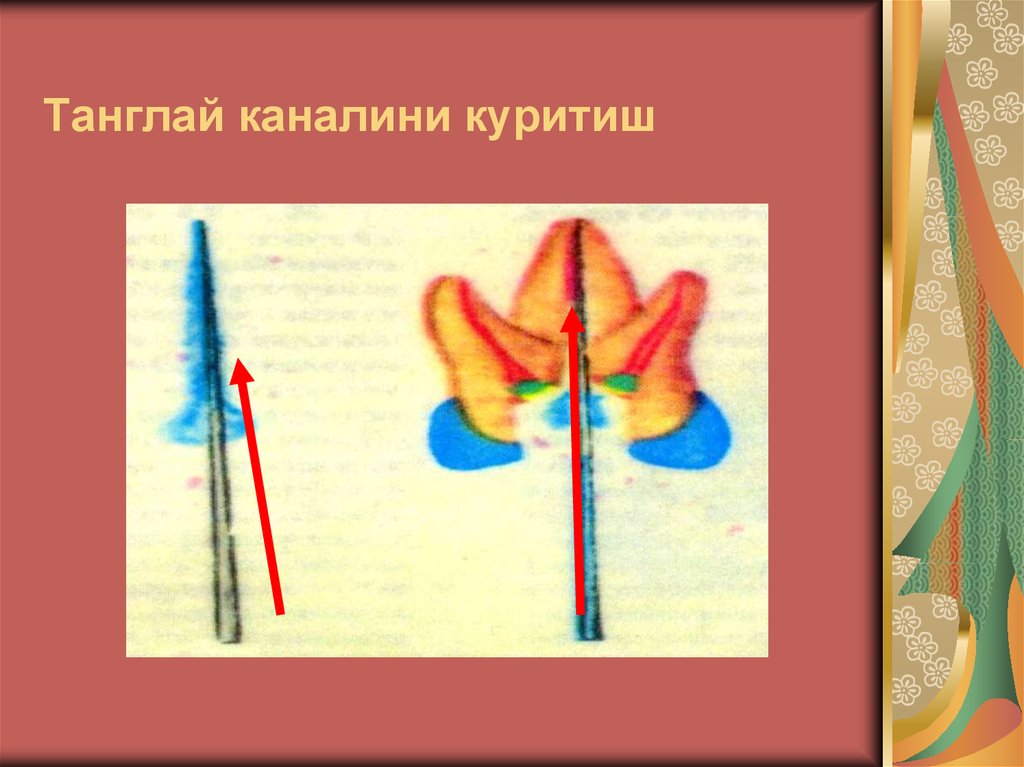 Танглай каналини куритиш