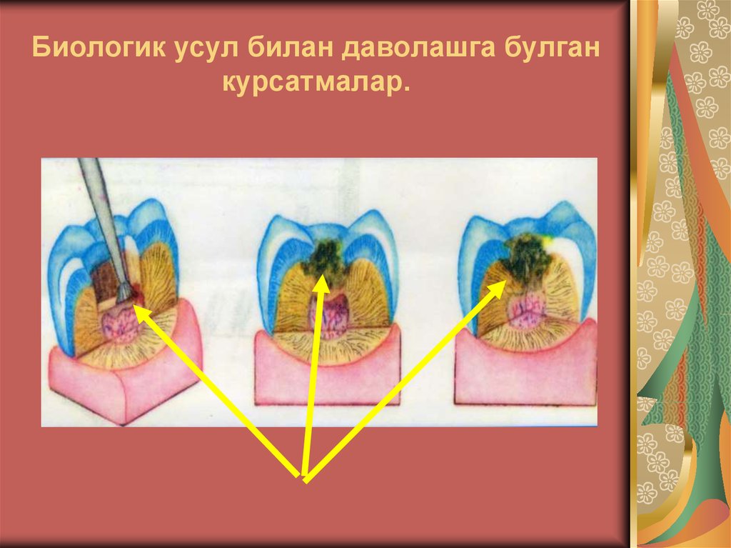 Биологик усул билан даволашга булган курсатмалар.