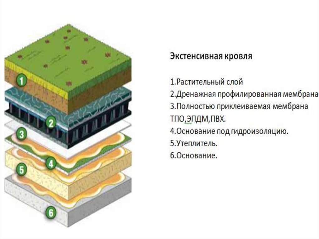 Презентация зеленая кровля