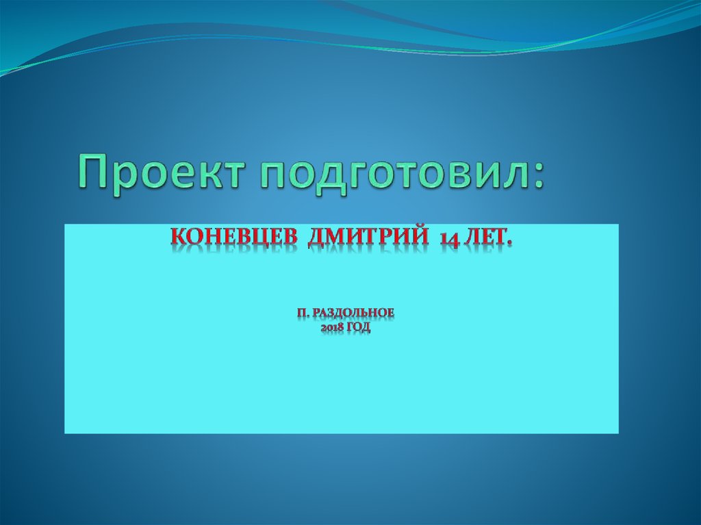 Проект подготовил: