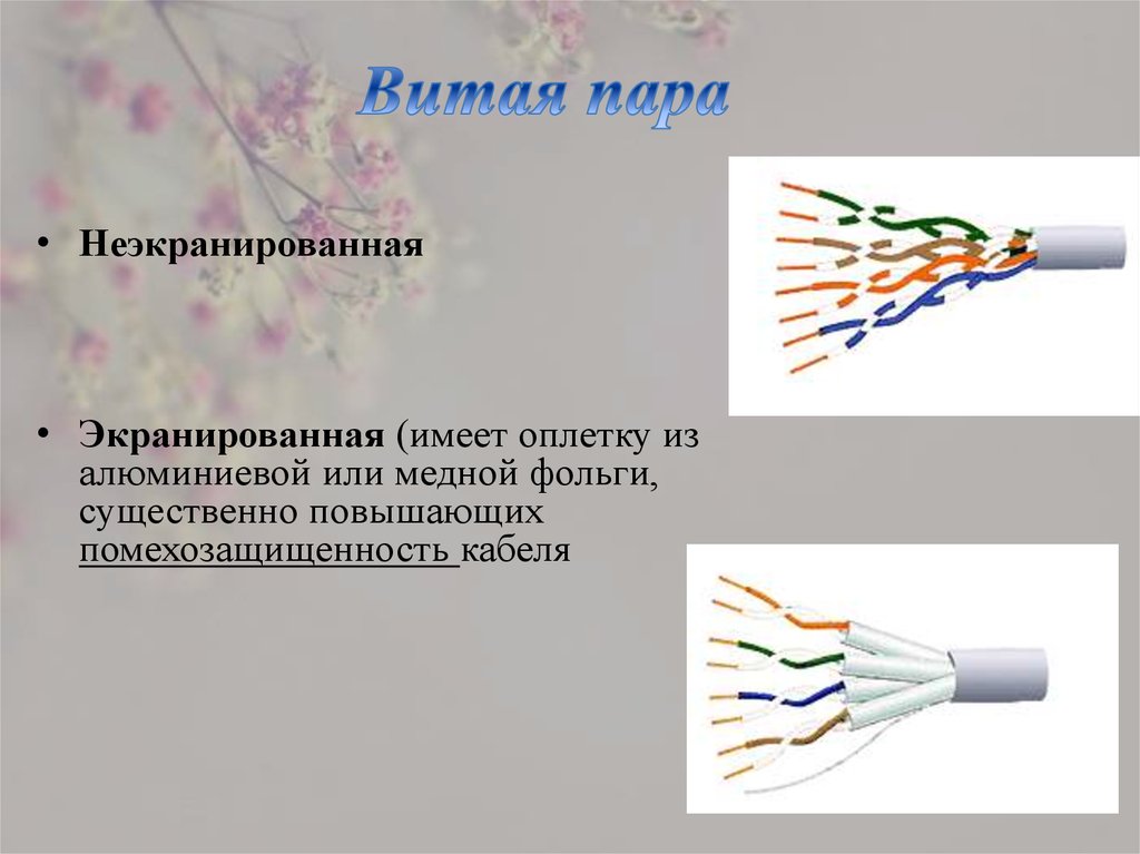 Витая пара графическое изображение