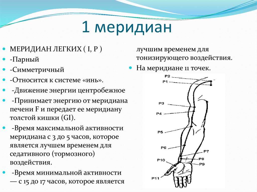 Меридианы на руке человека схема