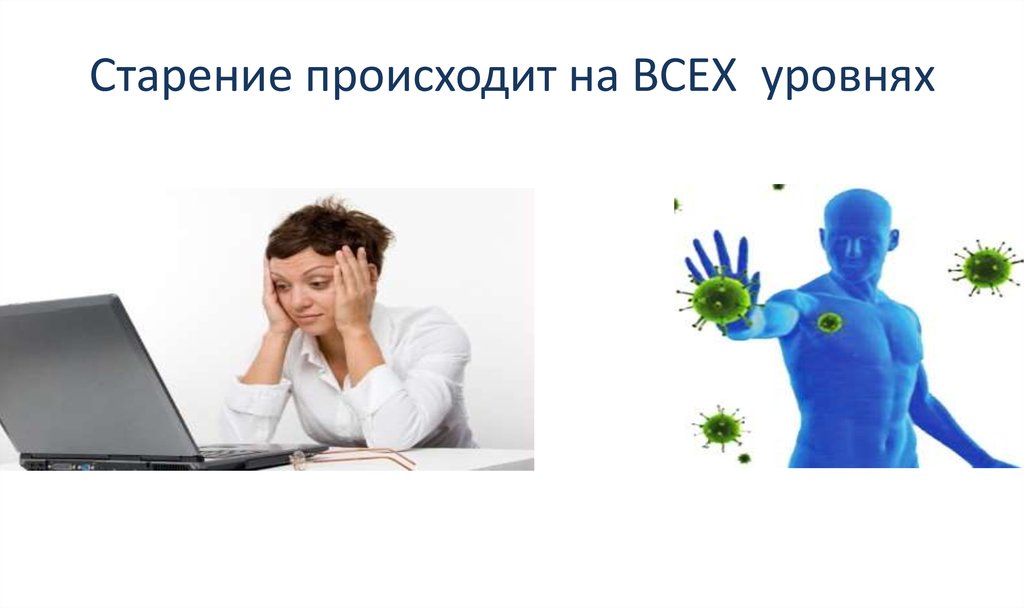 Старение происходит на ВСЕХ уровнях