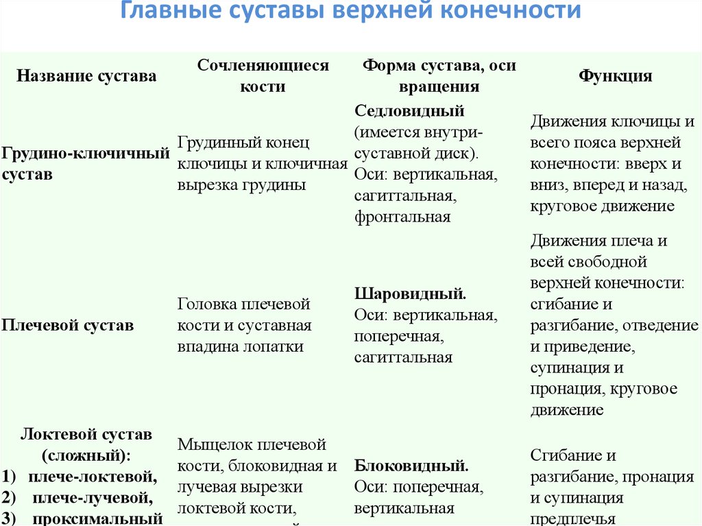 Кости верхних конечностей таблица. Суставы верхней конечности таблица анатомия. Соединение костей верхних конечностей анатомия таблица. Характеристика суставов верхней свободной конечности. Суставы свободной верхней конечности таблица.