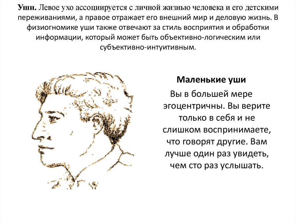 Что значат уши. Физиогномика уши. Форма ушей физиогномика. Физиогномика уши мочка.