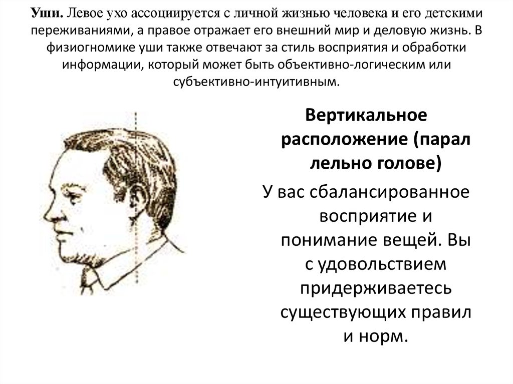 Физиогномика обучение. Физиогномика. Физиогномика уши. Прямой нос физиогномика. Физиогномика высота ушей.