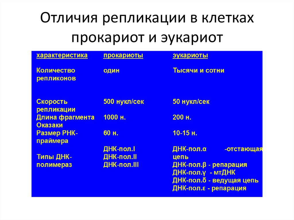 Ферменты репликации эукариот. Характеристика процесса репликации у прокариот и эукариот. Отличия репликации прокариот и эукариот. Типы репликации у эукариот. Сравнительная характеристика репликации у эукариот и прокариот.