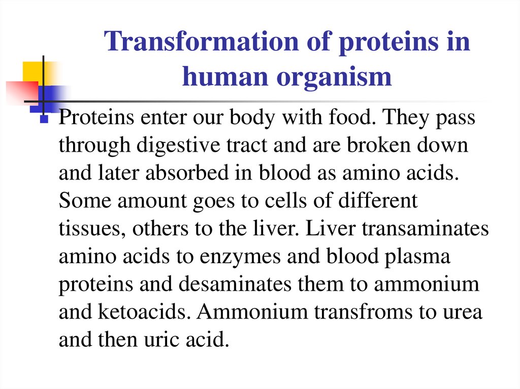 Transformation of proteins in human organism